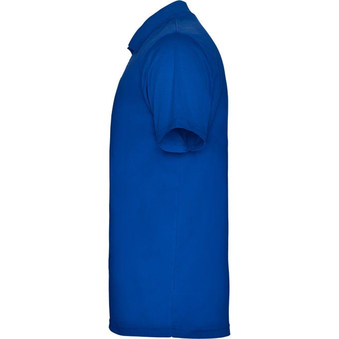 Polo technique "Monzha"